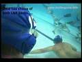 underwater hockey, crittercam diaries1a, www.seethegame.info