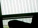 chuck on da bus chuck on da bus
