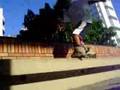 patins