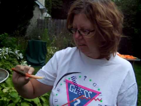 how to kill stinkhorn fungus