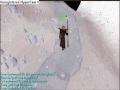 Desert Treasure - Kamil Desert Treasure - Kamil