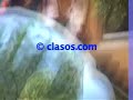 Video de Manolo Cardona Y Barbara Mori