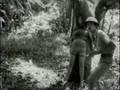 videos de Meteorango Kid - Tarzan Brasileiro