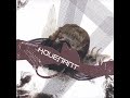 Kovenant - New World Order