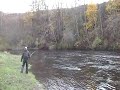 Spey casting...(Switch)