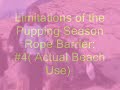 Limitations of the Pupping Season Rope Barrier #4: (Actual Beach Use).