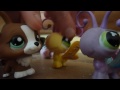 Littlest Pet Shop The Insane Butterflies!!!!!!!!!!!!!!!!!!!!!!!!!!