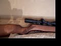 gamo hunter extreme tuned  177