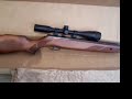 gamo hunter extreme tuned  177