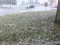 Guarda video