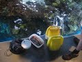 aquarium3 aquarium3