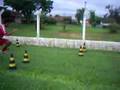 Agility soccer with Player Midfilder Willian 2