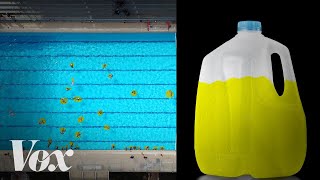 Stop peeing in the pool. Chlorine doesn’t work like you think
