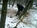 El Thomas y Stihl en el monte. Part 2.