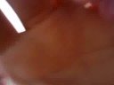 Telef�rico Beto Carrero World (surpreenda-se com isso)