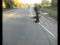 Deer euthanized by a Canton Police officer