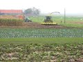 maisoogst 2007  I