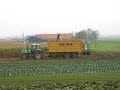 maisoogst 2007  I