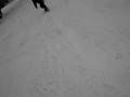 Chapelco 2008