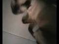 videos de Ben and Sam #1