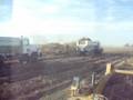 Potato Harvest - Digger and Truck and Crossover