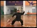 Chen Taiji Chun Qiu Da Dao ????????