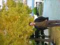 videos de Movie.wmv