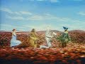 The Wizard Of Oz