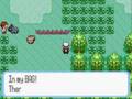 pokemon: busted game cube part 1