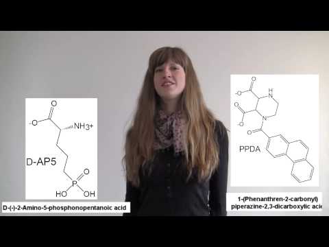 how to isolate scopolamine