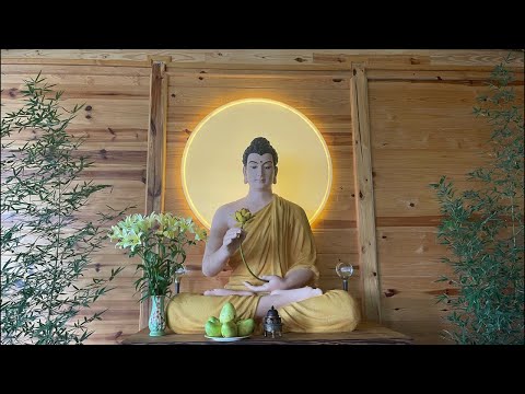 Pháp đàm NIKAYA - Căn Bản Trí