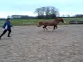 Huggy Bear EGB free jumping