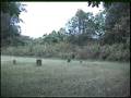 Acid Entertainment & Haunted Earth visit Tinker's Creek Cemetery