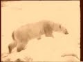 Amundsen & Nobile on North pole 1926/1928 part2