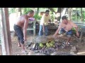 Pohnpei VideoMash