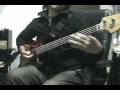 StoneColdBush2.wmv
