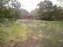 my wicked garden