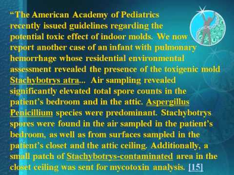 how to eliminate mycotoxins from body