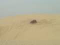Malabim Lateral