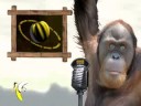 Monkey News Network - 19 August 2008