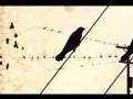 Motion Music Video