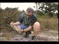Chief Finds Florida King Snake