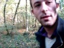 Foret de Cingle