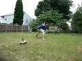 frisbeer frisbeer