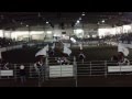 2-8-13rodeo