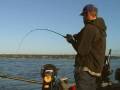 Puget Sound King Salmon Fishing