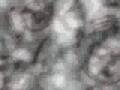 Bakerboy Tag