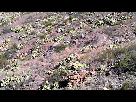 Rock hunting @ Rockhound State Park, New Mexico