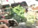 Edmonton Mall