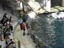 Edmonton Mall